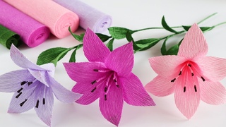 LILY Crepe Paper Flowers/Flower Craft Ideas