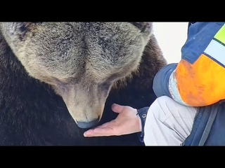 Мансур  Папа и Мансур наслаждаются зимним солнцем... и блинами!