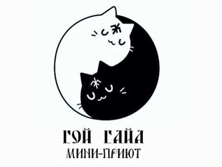 Мини-приют Гой Гайа в гостях у Натальи и её питомцев)