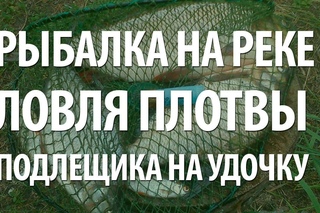 Ловля на поплавочную удочку плотвы, подлещика на реке