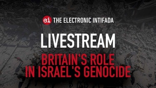 Breaking news and analysis on day 341 of Gaza's Al-Aqsa Flood | The Electronic Intifada Podcast