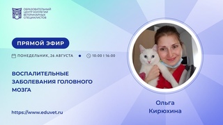 Воспалительные заболевания головного мозга - Кирюхина Ольга