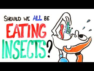 Should We All Be Eating Insects
