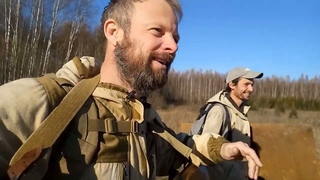 Медведь обнаружил колоду с пчёлами в лесу. Часть1.