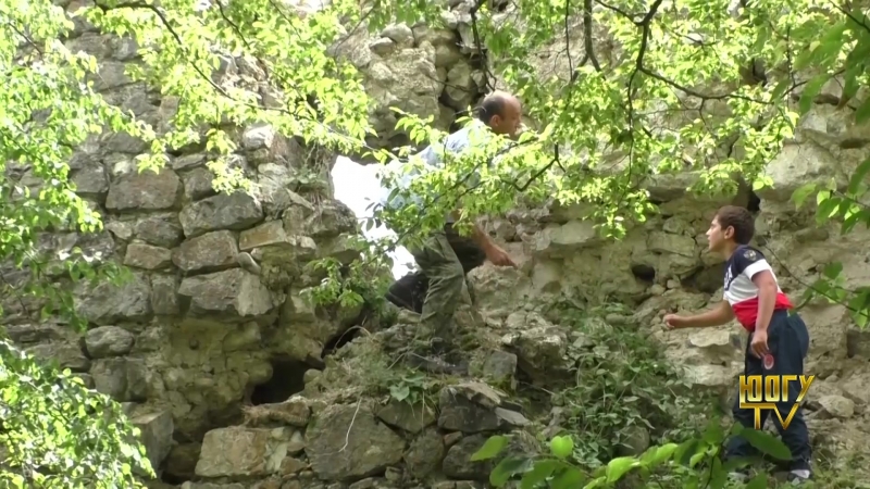 Хæхбæсты фарн . Бырæтты