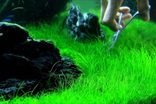 Just Aquascaping - Flowgrow Aquascaping Tools - Preview