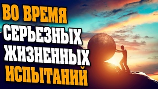 ВЫ ИСПЫТАЛИ ВСЕ СТРАДАНИЯ МИРА | Абсолютный Ченнелинг