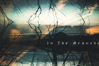 In The Branches - In The Branches (Full Album)