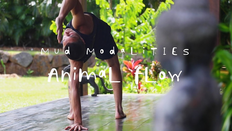 MUD MODALITIES: Introduction to Animal Flow (full 20 min