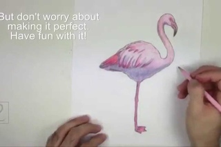 Karakalem Flamingo Çizimi
