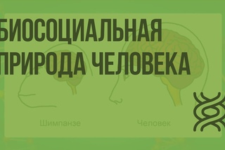 Биосоциальная природа человека. Науки об организме человека