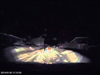 Пёс белый с рыжим