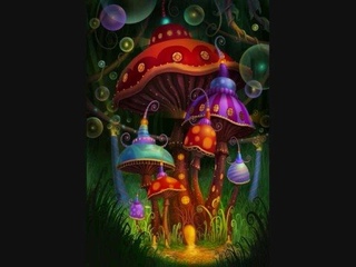 Infected mushroom - Elation Station