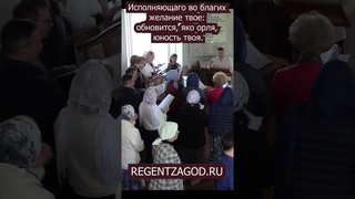 Исполняющаго во благих желание твое: обновится, яко орля, юность твоя.