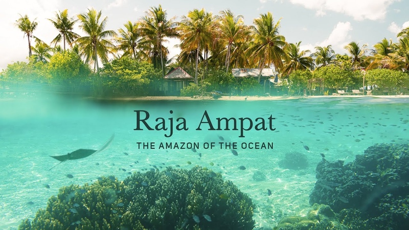 Raja Ampat The Amazon of the