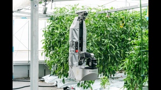 2022 Automatic green bell pepper harvesting robot「Ｌ」Product Video_English