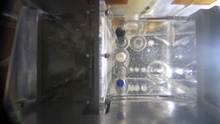 See zebrafish swim in space on China’s Tiangong space station