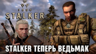 ФАНАТЫ СТАЛКЕРА В ШОКЕ! TRUE STALKER - ЛУЧШИЙ СЮЖЕТНЫЙ МОД!