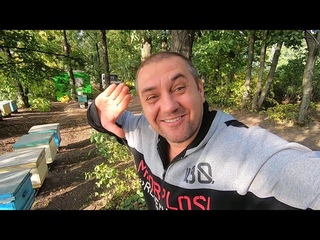 Пасека на связи # 8 Работы на пасеке в конце августа!