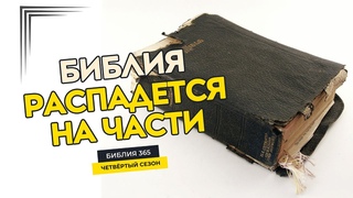 #17 Библия распадается на части - Алексеи Осокин - Библия 365 (4 сезон)