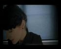 Promise and the Monster - Light reflecting papers