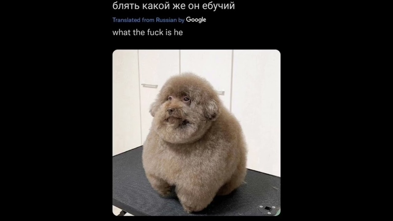 h69 grap my 44 мужик с телеги