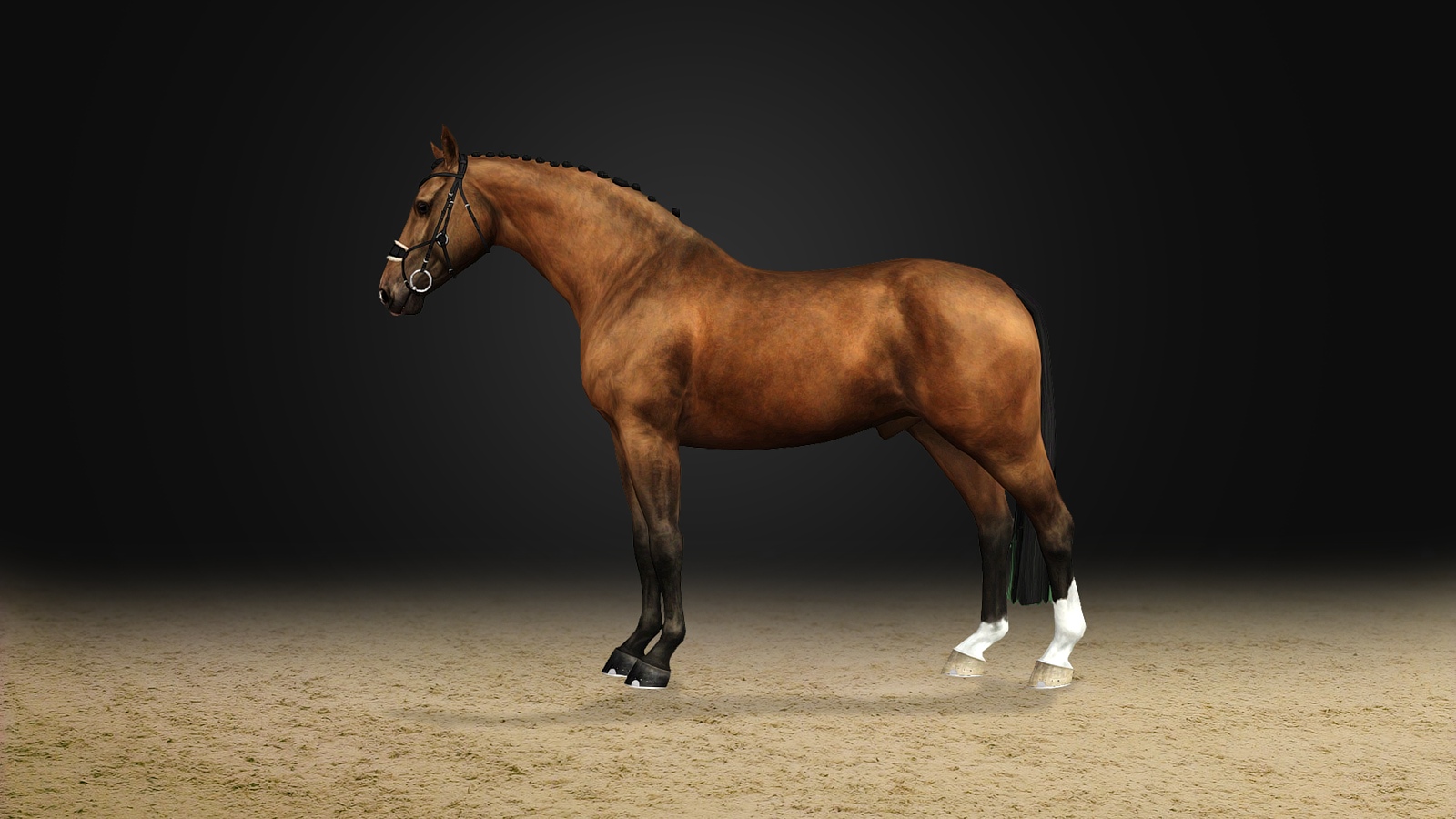 Horse image