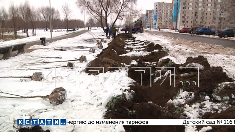 Загубив 750 тополей, высаживая их в 35 градусную жару,