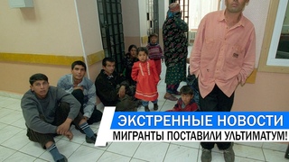 Нас трогать нельзя! Мигранты поставили дерзкий ультиматум!
