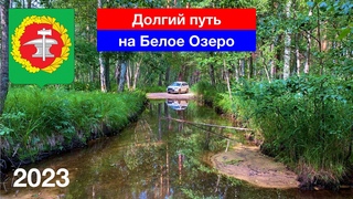 4K Долгий путь на Белое Озеро через лес от Сосновки / Пензенская  Ульяновская обл. ()