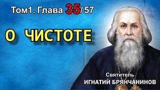 ТОМ 1. ГЛАВА 35. - О чистоте. Святитель Игнатий (Брянчанинов)