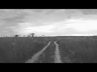 Ambient car trip in Russian country