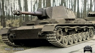German Shrek - Heuschrecke 10