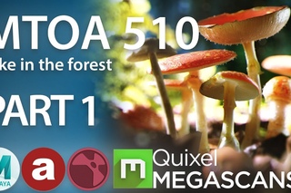 MtoA 510 | Quixel Megascans | PART 1