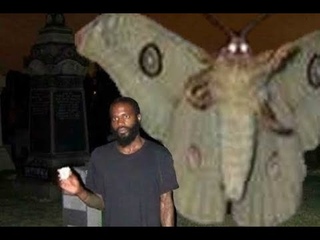 cursed images with Death Grips music