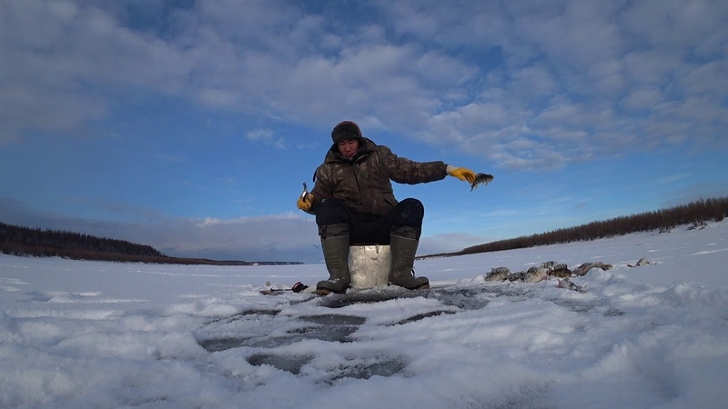 Дикий клев окуня 4 catch of perch 2018, part 4 Yakutia