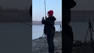 Плітка на Дніпрі! #fishing #катярибалка