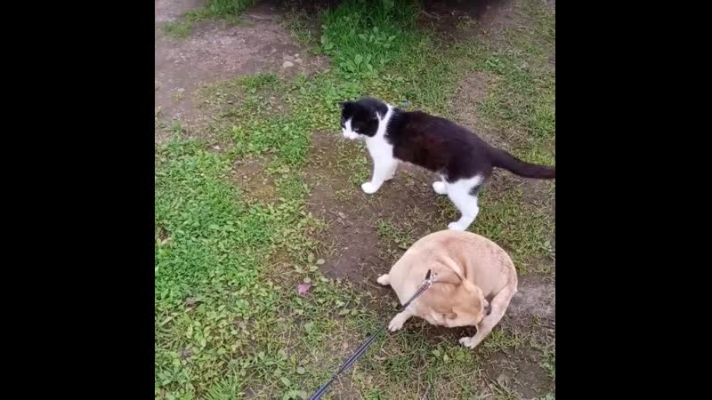 Видео от Синди