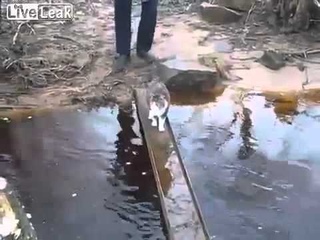 Жить захочешь ещё не так раскорячишься