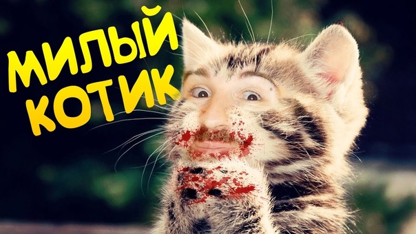 САМЫЙ МИЛЫЙ
