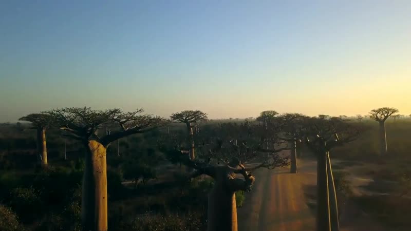 World Vision, Season 2, Madagascar,