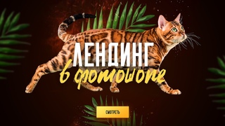 Дизайн лендинга в фотошопе