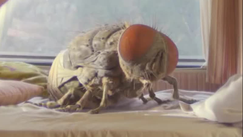 Жвалы Русский трейлер