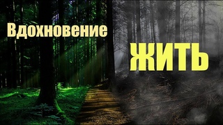 Вдохновение жить