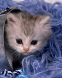 №20, Катюша Метлицкая №20, Катюша Метлицкая