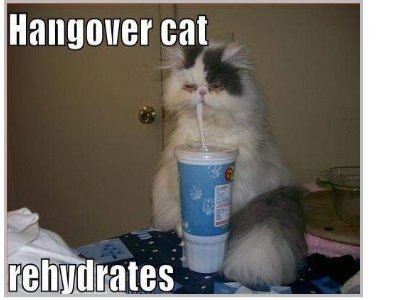 №5, Василий Григорьев №5, Василий Григорьев