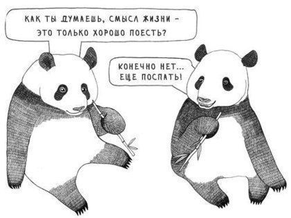 Александр Косых | Санкт-Петербург