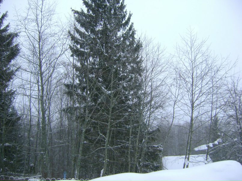 Татьяна Еремеева | Березники