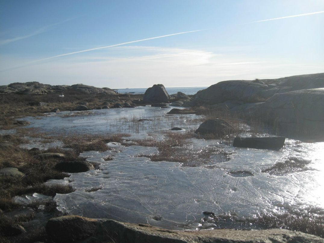 Елена Карлсен | Tønsberg