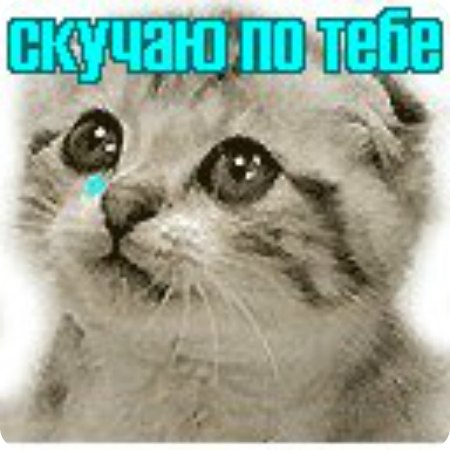 Максим Морозов | Москва